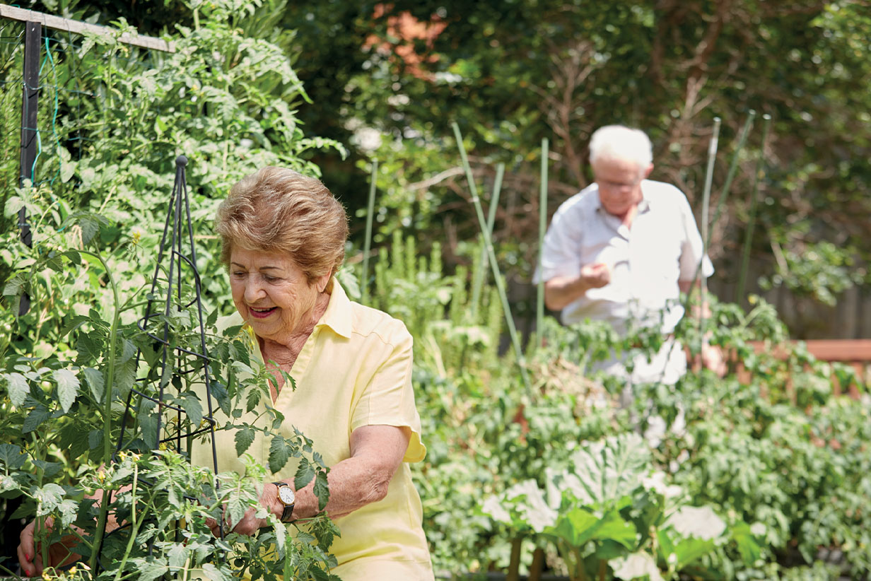 One Fell Swoop - senior couple gardening